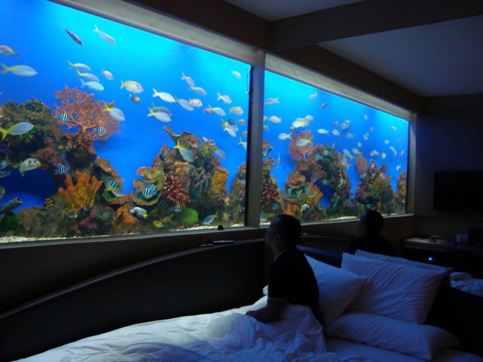 Спальня комната в аквариуме