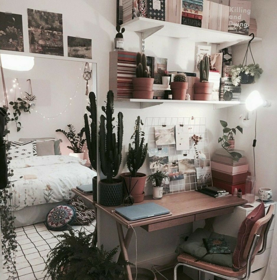 Комната в стиле тумблер с растениями