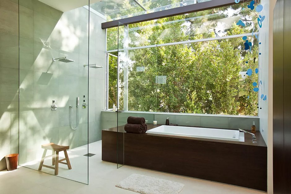 Ванная комната с прозрачной стеной