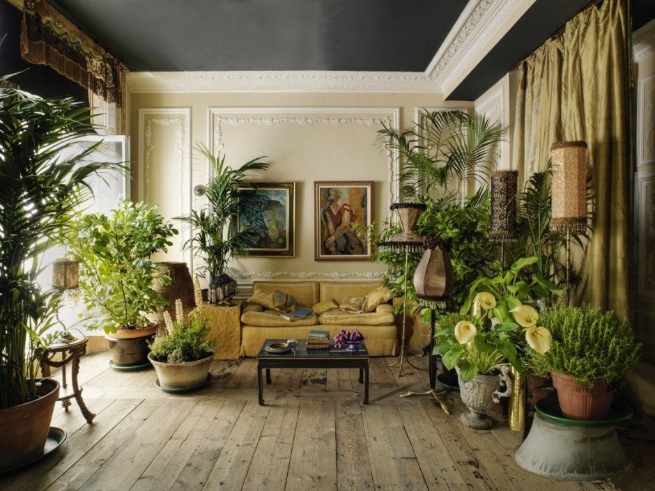 Гостиная с комнатными растениями