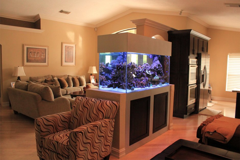 Гостиная с аквариумом и камином (60 фото)