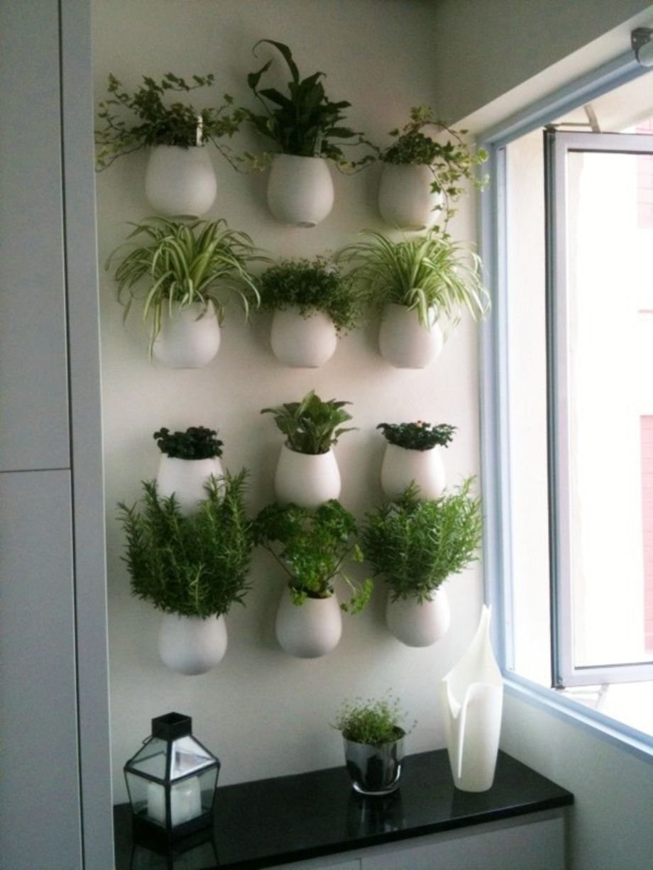 Комнатные растения размещение. Цветы на стене в горшках. Комнатные растения на стене. Кашпо для цветов в интерьере. Цветочные горшки в интерьере.