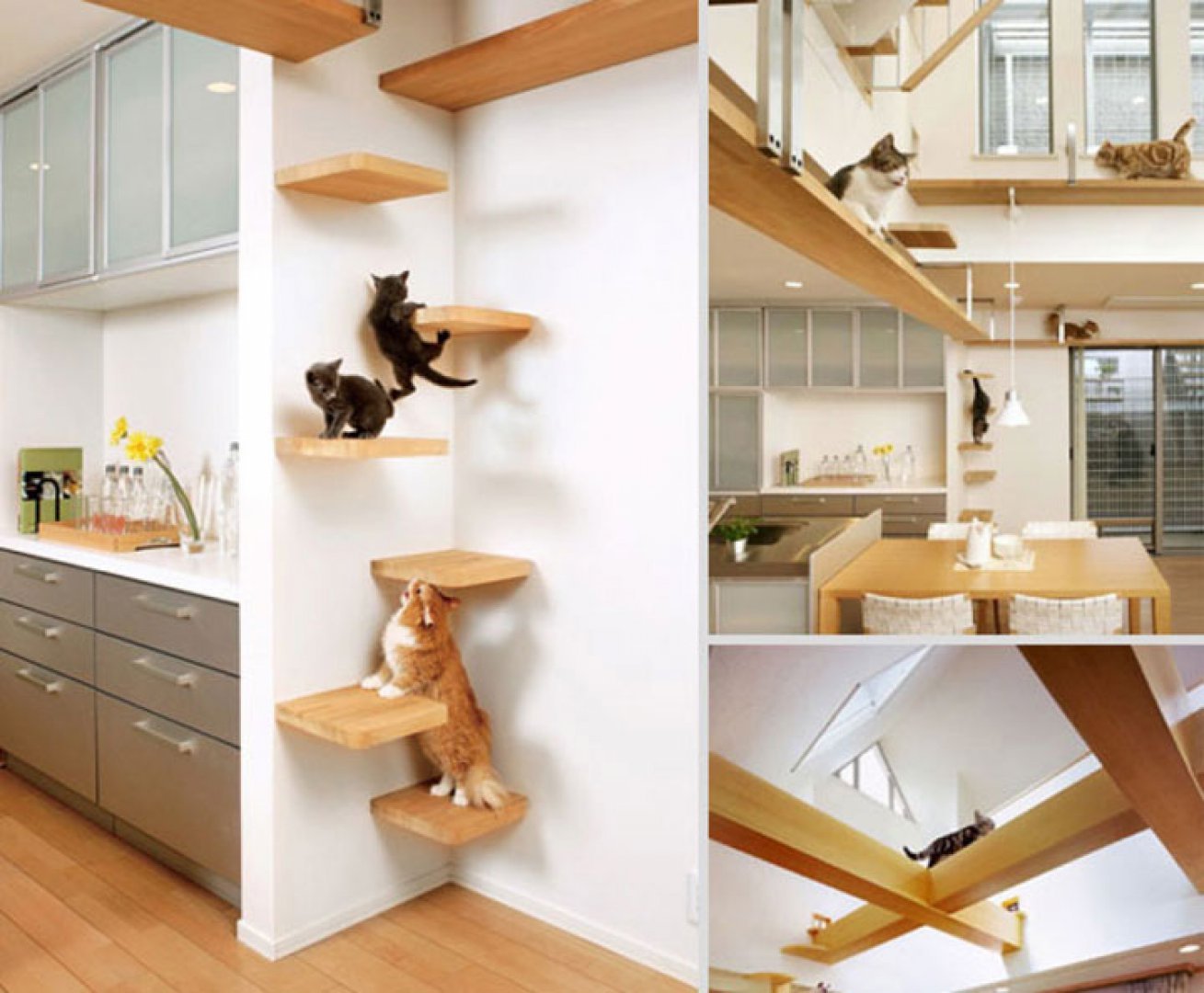 Проживание животных в квартире. Домик для кошки в интерьере. Дизайнерские решения для кошек. Дизайнерский дом для кошки. Полки для кошек.
