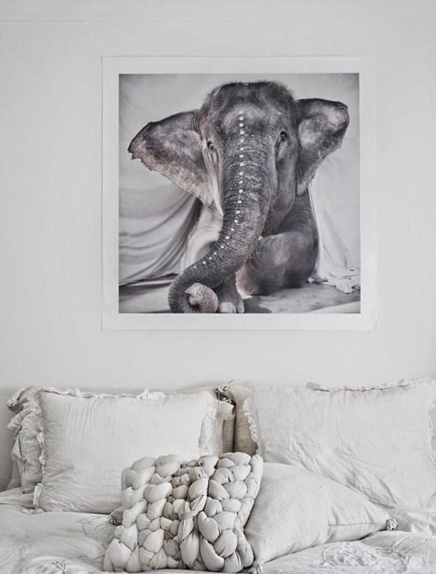 Постеры слоны в интерьере