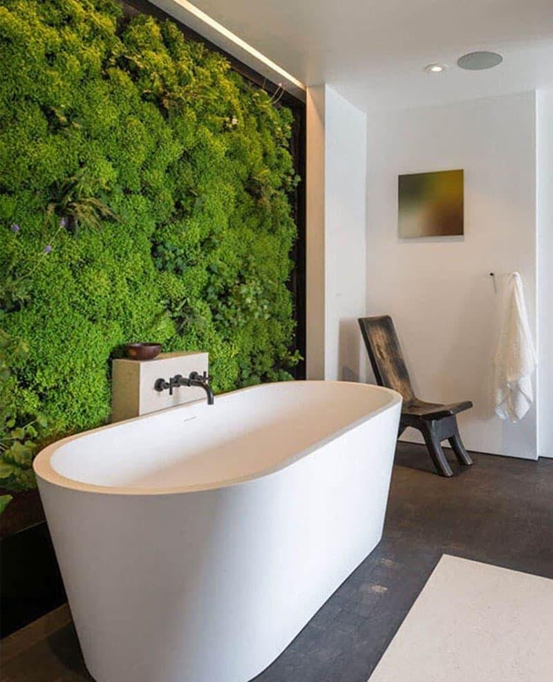 Озеленение ванной комнаты (34 фото)