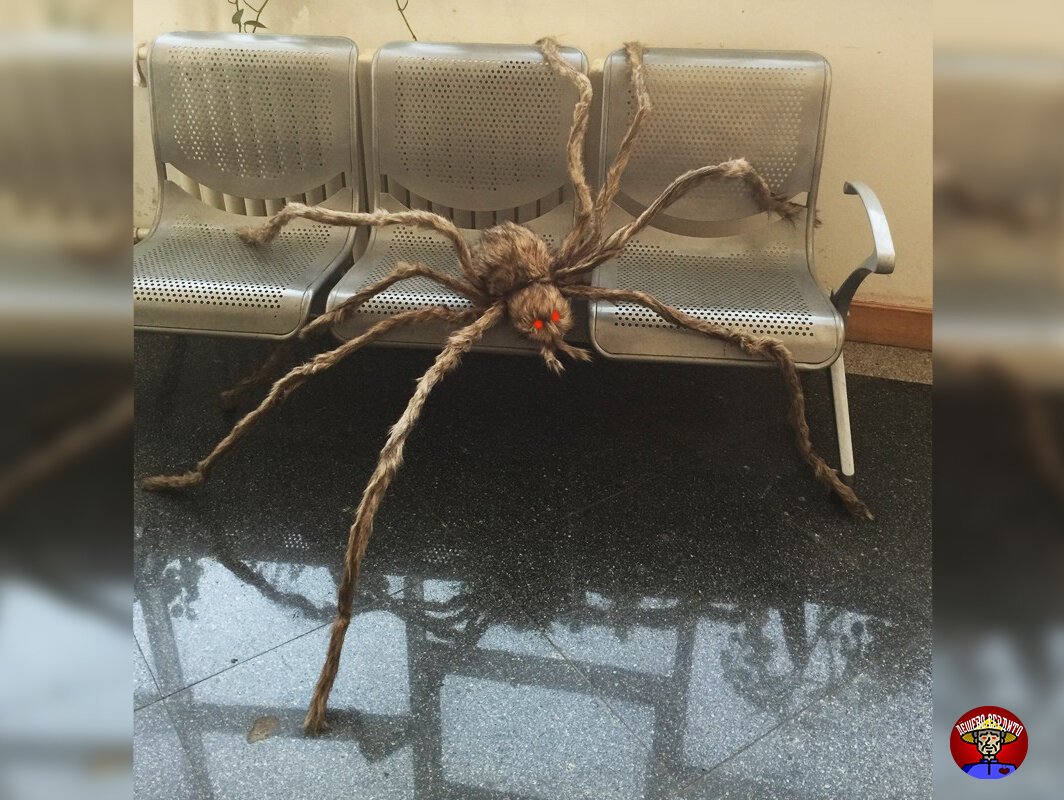 Декоративный паук