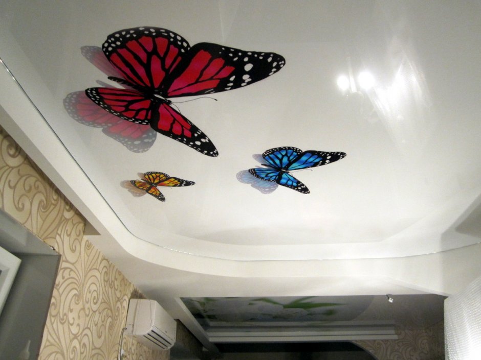 Бабочки на потолке фотопечать