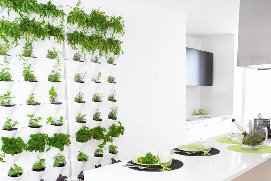 Зелень в интерьере кухни