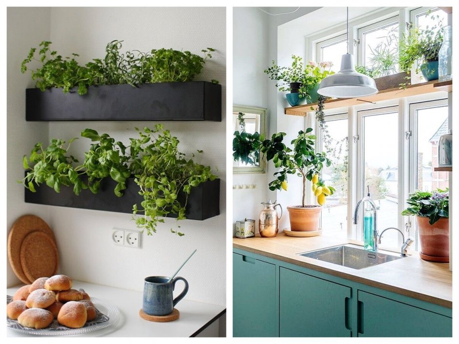 Зелень в интерьере кухни