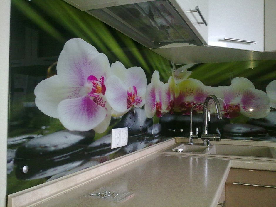 Орхидеи скинали для кухни фартук