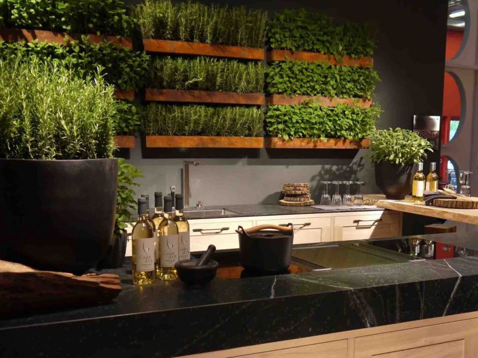 Декор из зелени в интерьере кухни