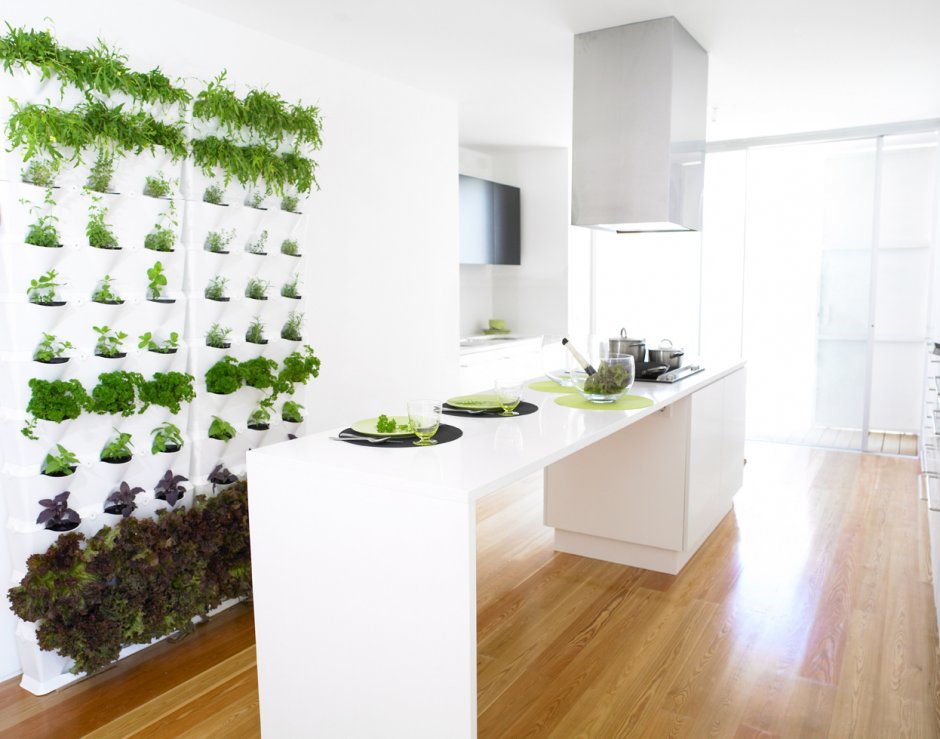 Вертикальное Озеленение в интерьере кухни