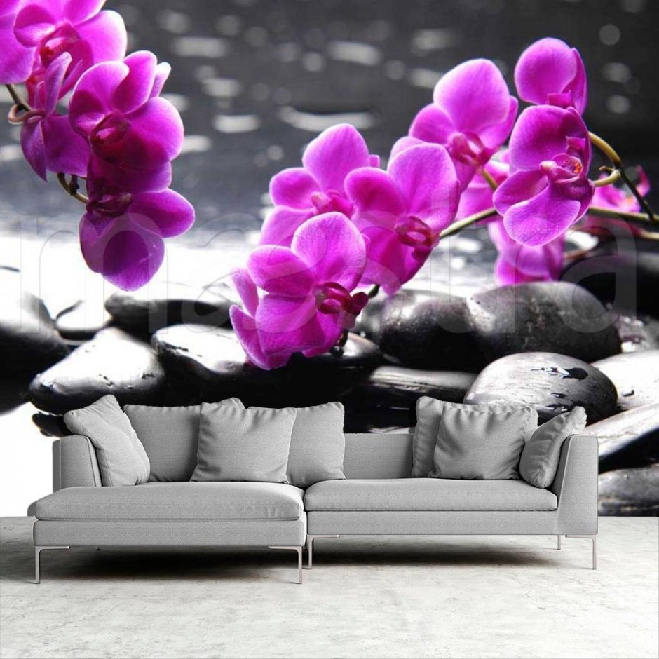 Фотообои Орхидея в интерьере