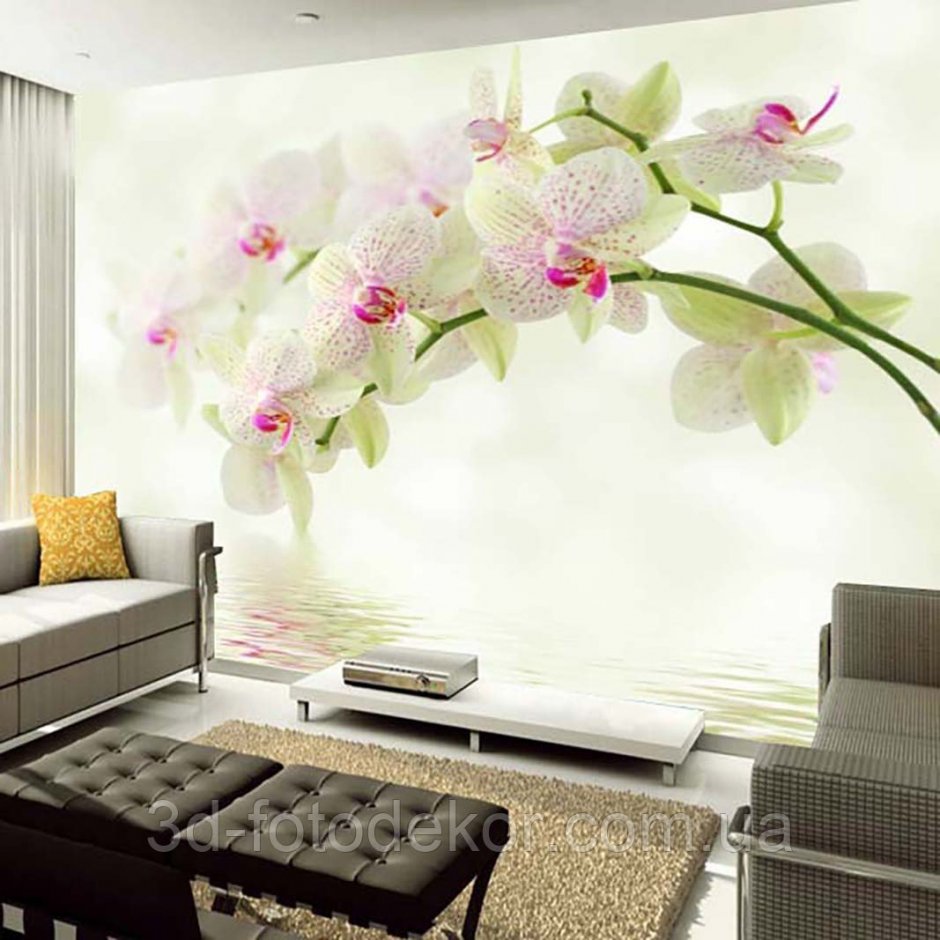 Дизайн гостиной в квартире с фотообоями орхидеи фото в рамке