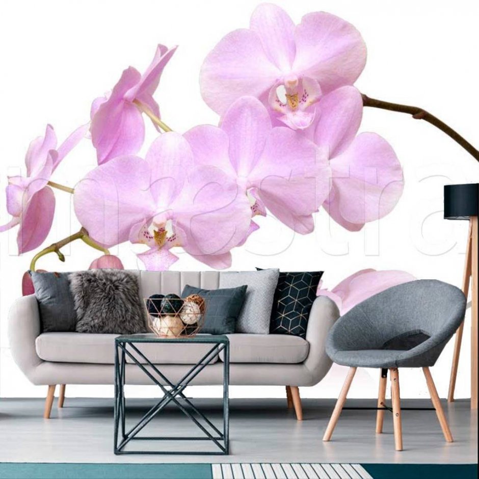 Фотообои Орхидея в интерьере