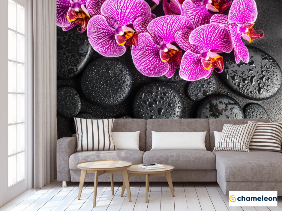 Натяжная стена с орхидеями на черном фоне
