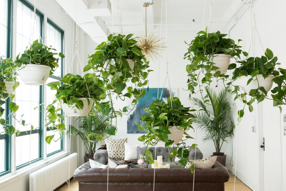 Декор для комнатных растений