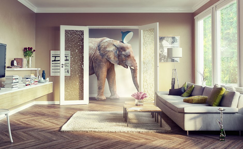 Реклама квартиры со слоном