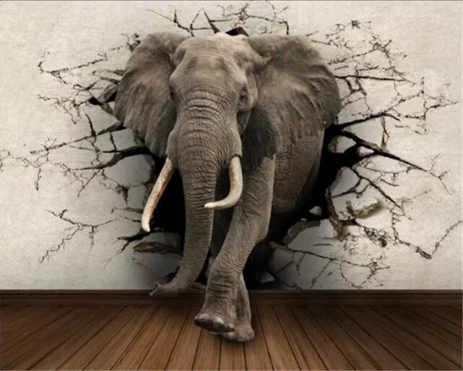 Слон на стене