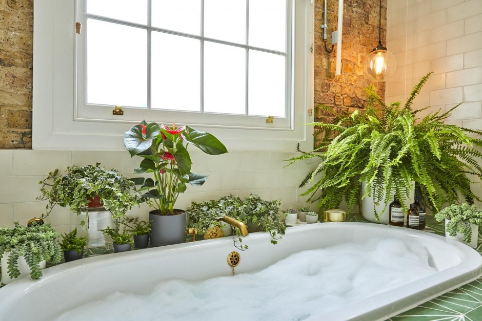 Спот ванной с растениями