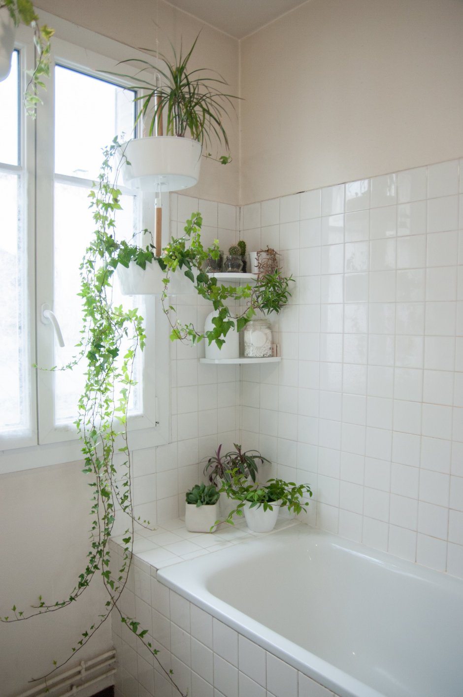 Растения в ванной