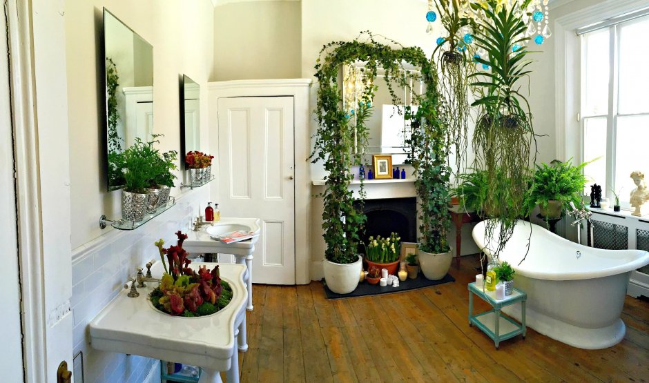 Ванная с комнатными растениями