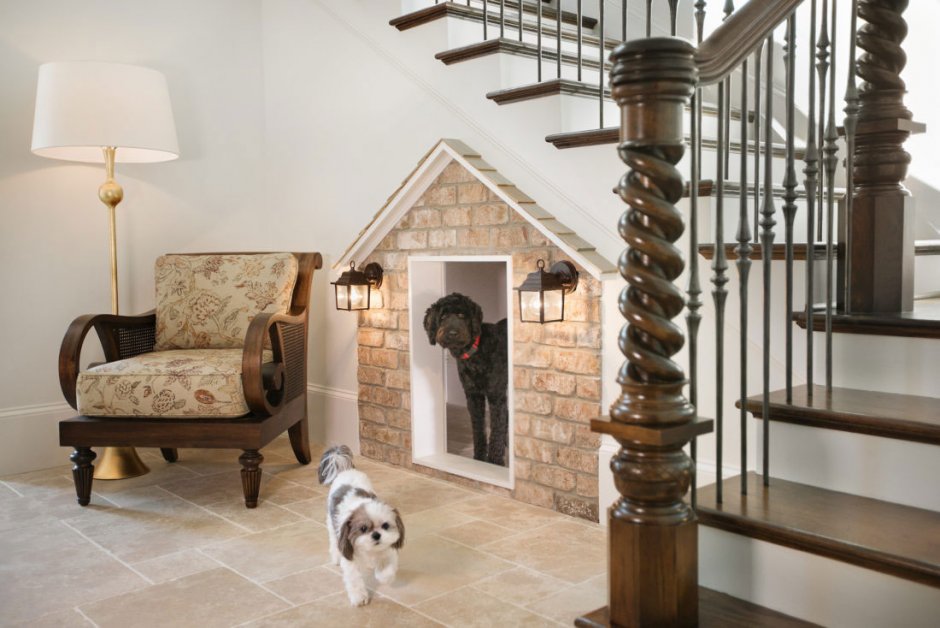 Место для собаки под лестницей в доме