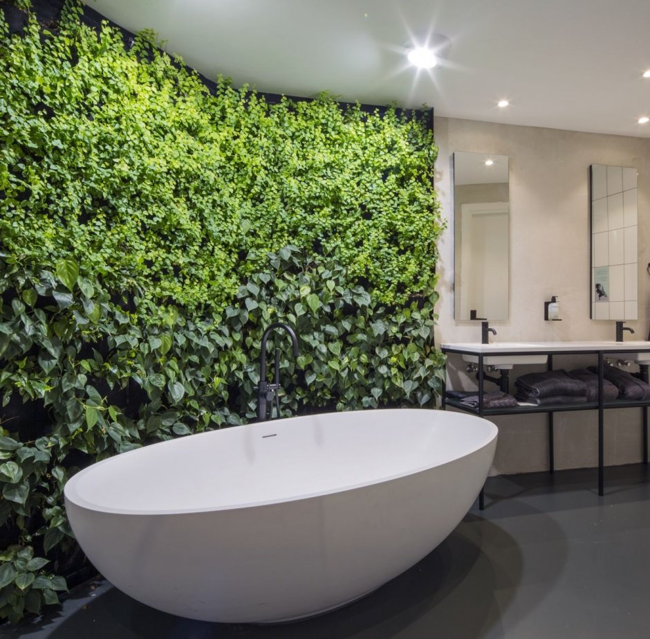 Вертикальное Озеленение ванная комната