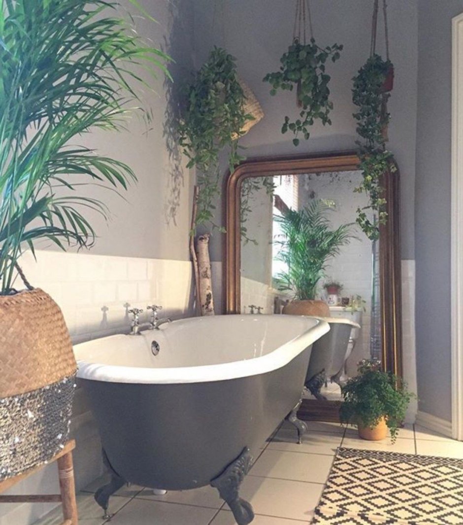 Ванная комната с растениями