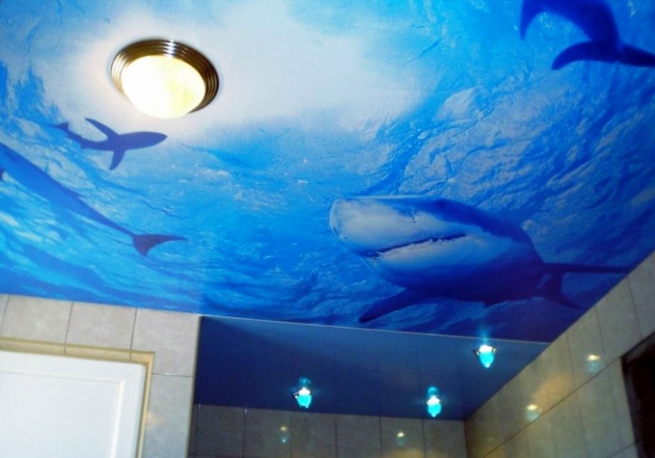Натяжной потолок с рисунком в ванную