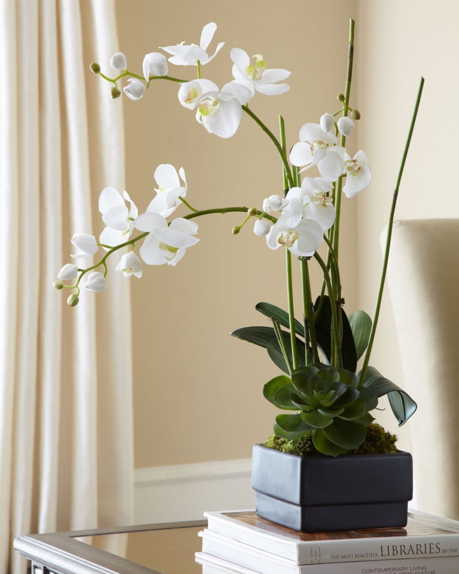 Белые орхидеи в интерьере