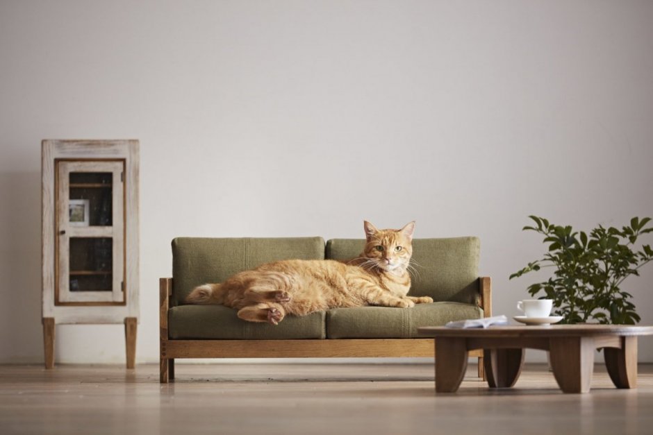 Мебель для кошек в интерьере