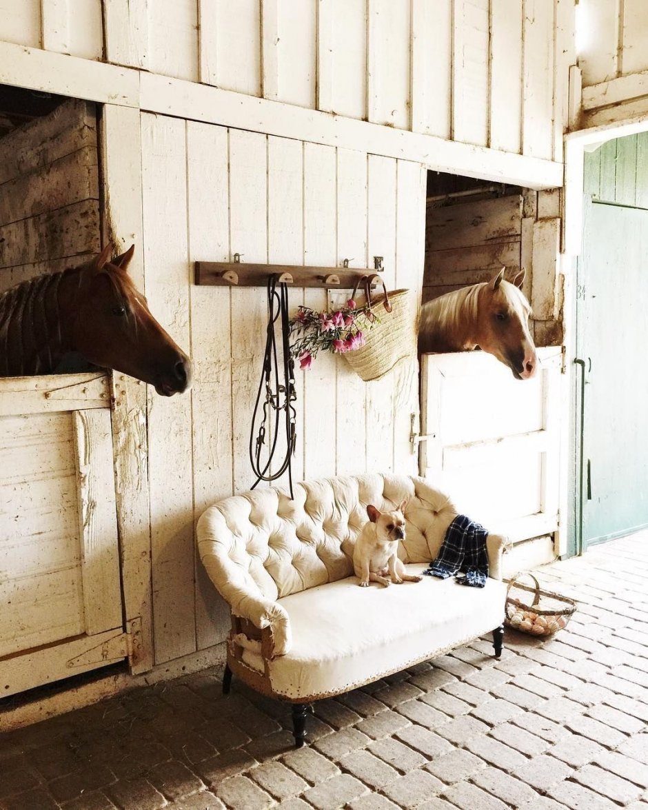 Ветеринарная комната для лошадей