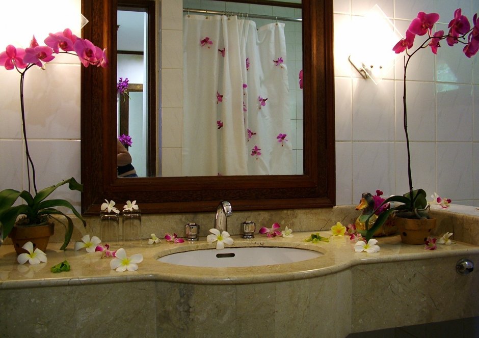Цветочная композиция для ванной комнаты (35 фото)