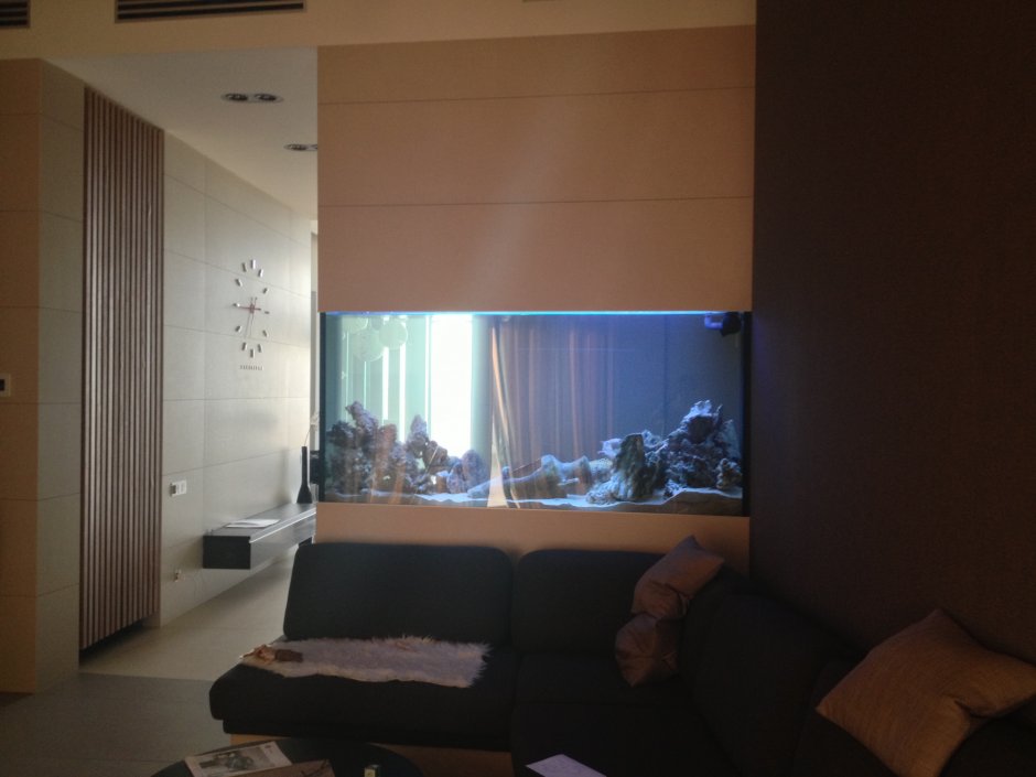 Гостиная Минимализм фото интерьер с аквариумом и цветами
