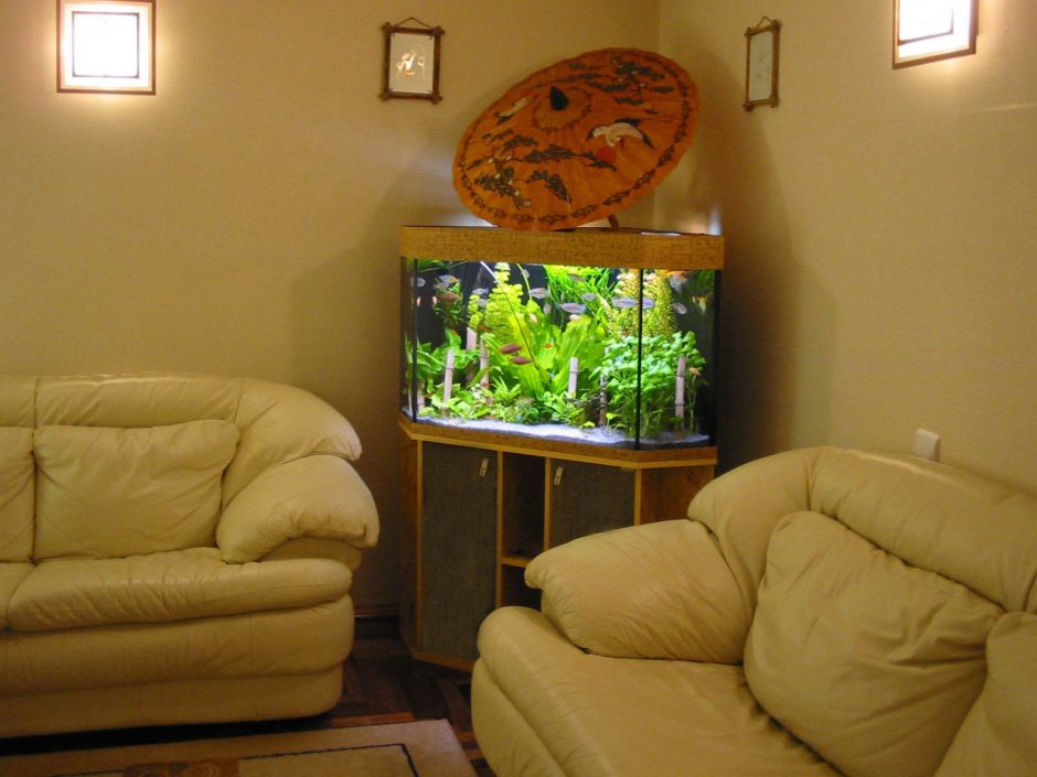 Угловой аквариум в интерьере квартиры