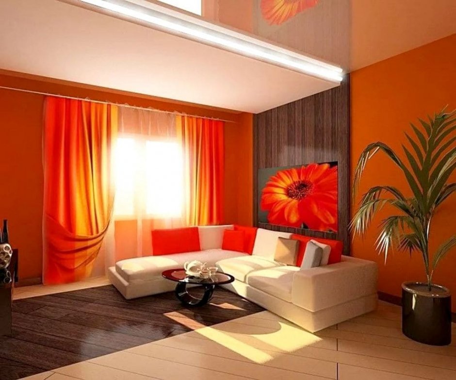 Оранжевые большие современные помещения