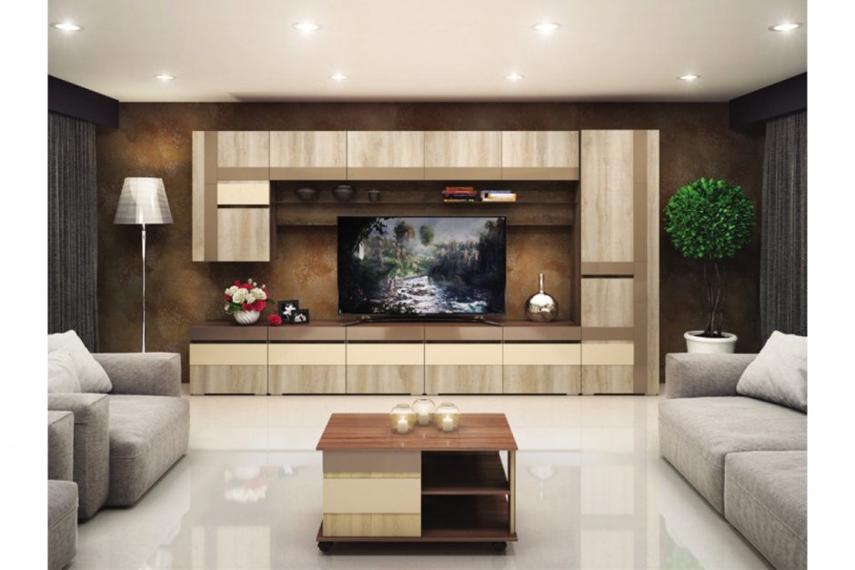 Горизонтальный шкаф в гостиную