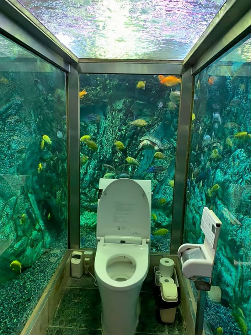 Унитаз аквариум
