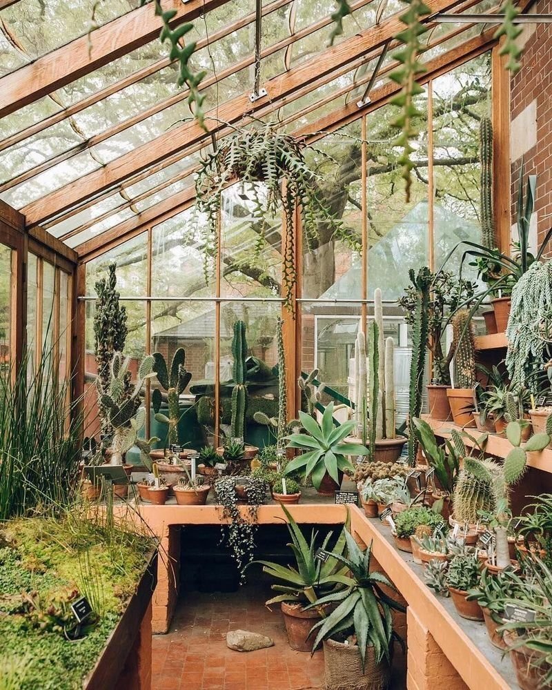 Оранжерея / the Greenhouse