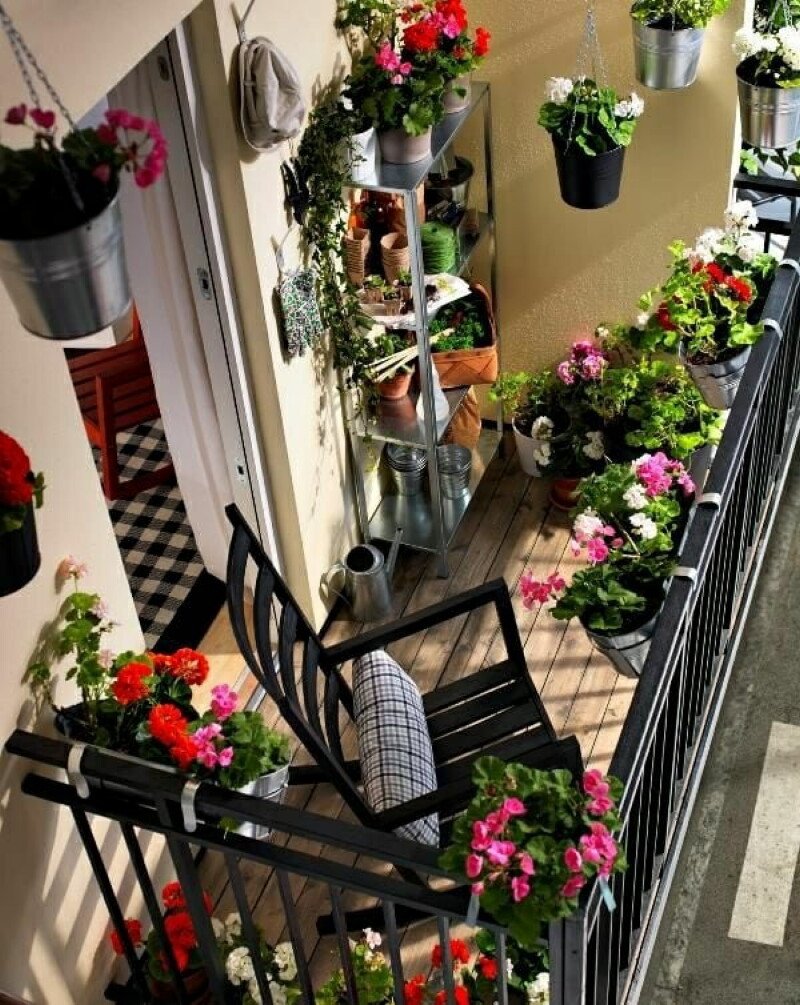 Украсить балкон цветами