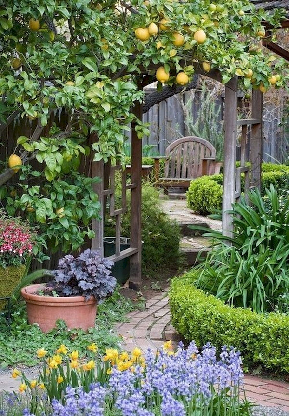 Плодовый сад дома. Грядки-клумбы мавританский дворик. Огород в палисаднике с Элис Фаулер. Обустройство сада. Ландшафт на даче.
