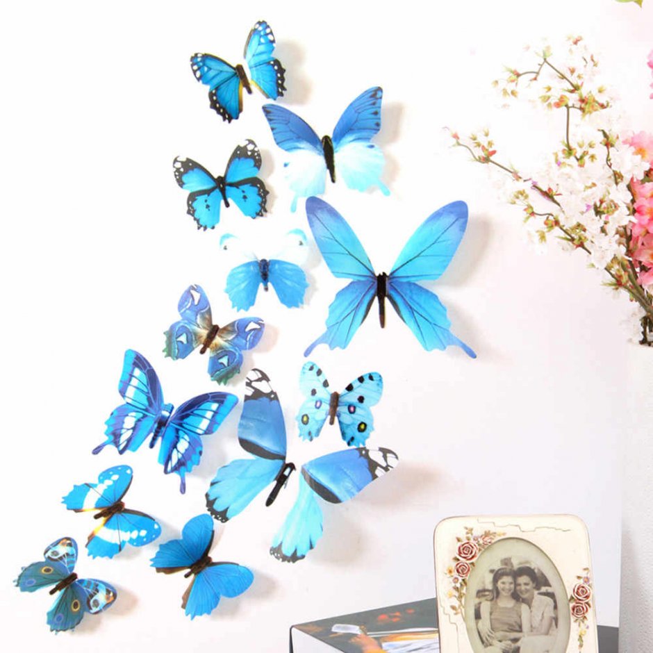 Фотообои бабочки на стену