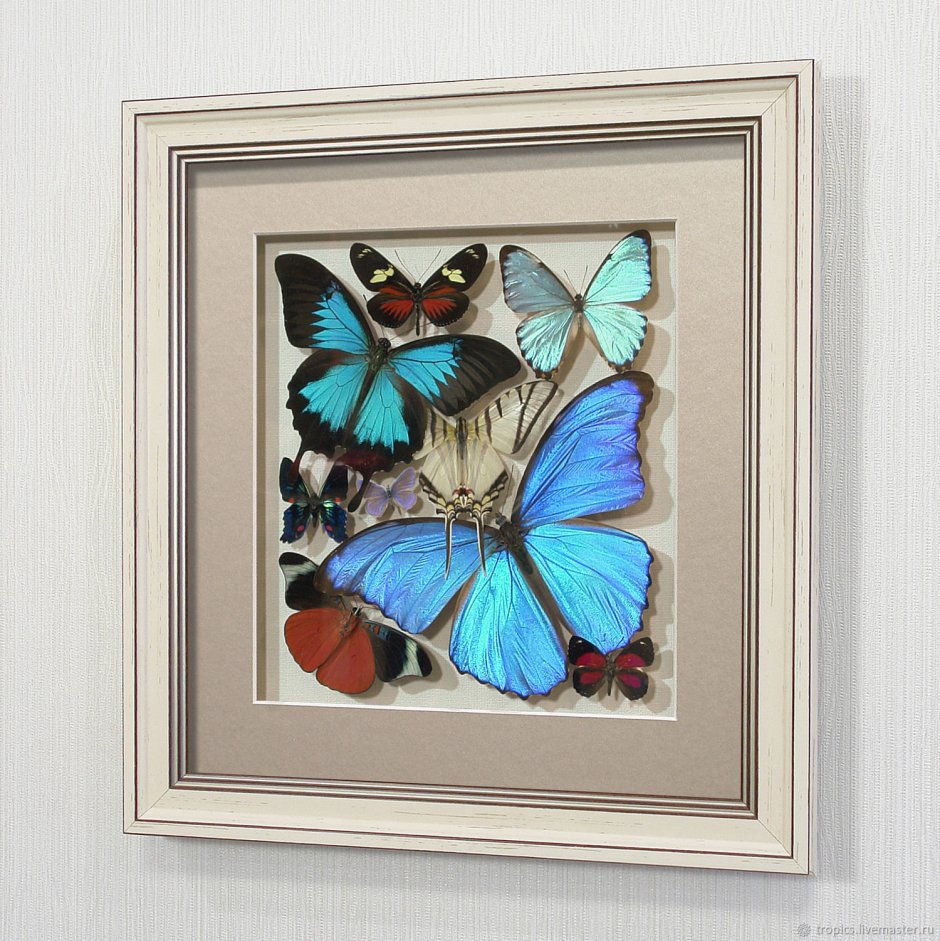 Панельные картины синих бабочек
