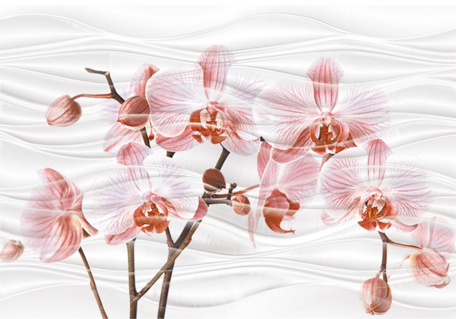Керамическая плитка Орхидея Аксима