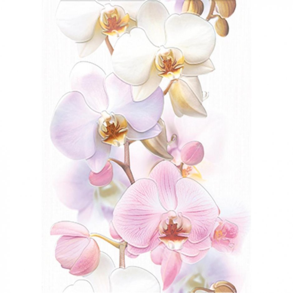 Плитка Орхидея Церсанит