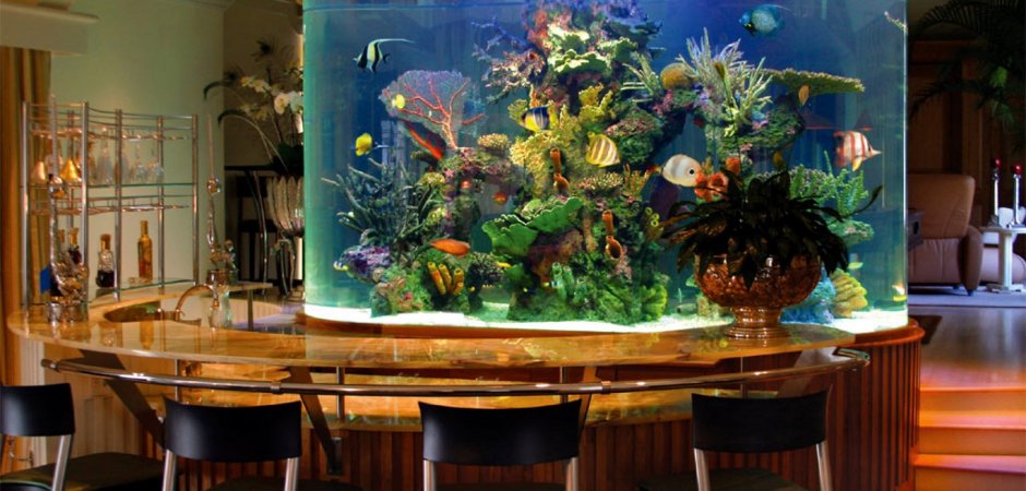 Рыбы в аквариуме в ресторане