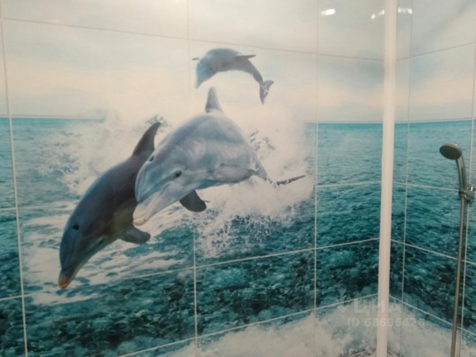 Дельфины в зоопарке