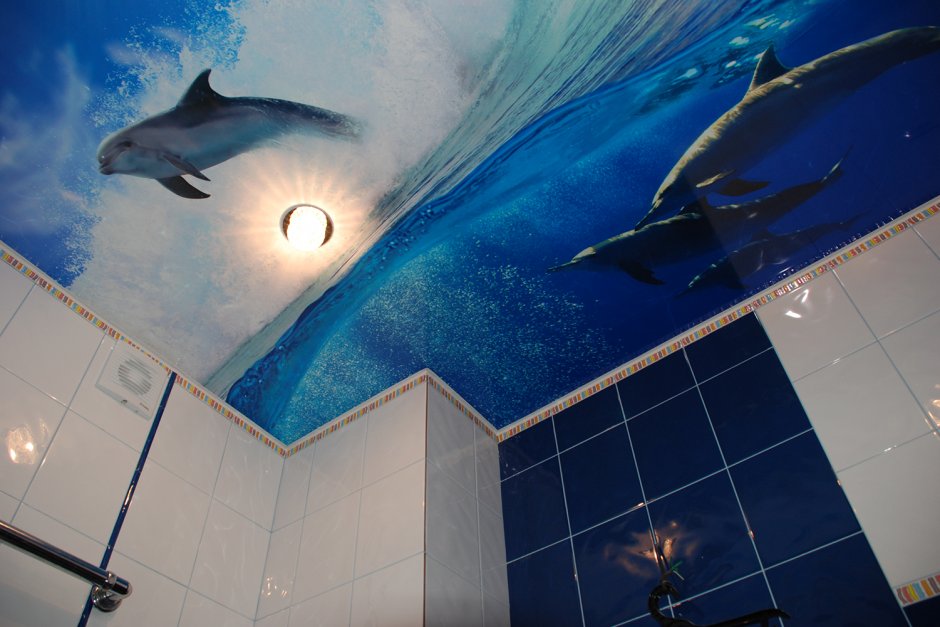 Натяжной потолок с дельфинами фото в ванной комнате