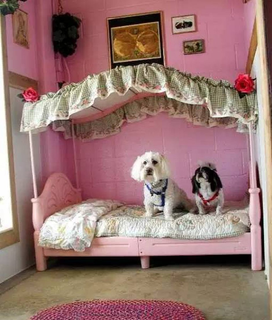 Красивая комната для собак